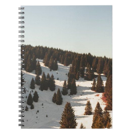 CARNET PINS VERTS (Devant)