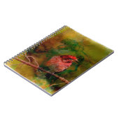 Carnet Pinson pourpre (Côté gauche)