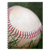 Carnet Piquer de base-ball (Devant)