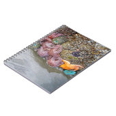 Carnet Piscine à marée, plage de Ruby, parc national olym (Côté gauche)
