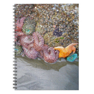 Carnet Piscine à marée, plage de Ruby, parc national olym