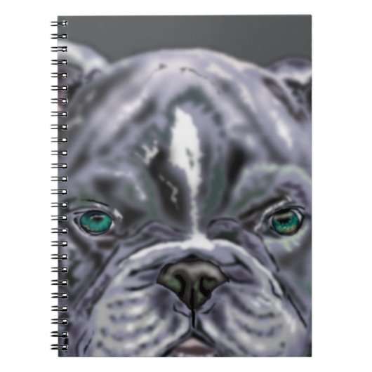 Carnet Pitbull - (Devant)