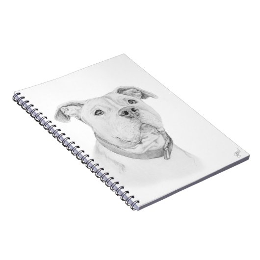 Carnet Pitbull, mal compris (Côté Droit)