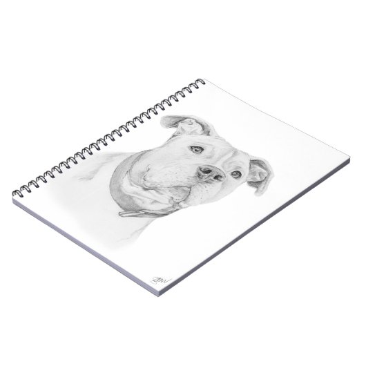 Carnet Pitbull, mal compris (Côté gauche)