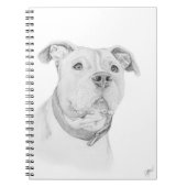 Carnet Pitbull, mal compris (Devant)