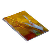 Carnet Piute Jasper (Côté Droit)