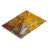 Carnet Piute Jasper (Côté gauche)