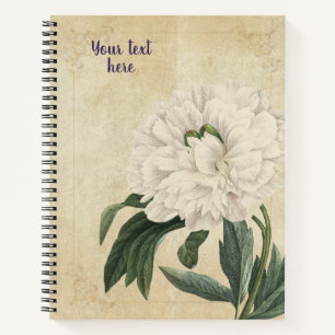 Carnet Pivoine Ancienne ou Paeonia officinalis