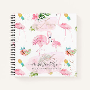 CARNET PIXDEZINES FLAMANTS ROSES PREMIERS BÉBÉ