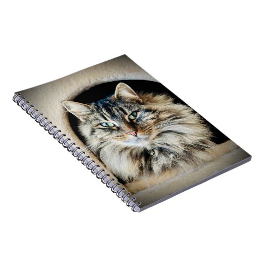 Carnet Pixie Spiral Notebook (Côté Droit)