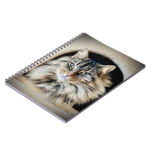 Carnet Pixie Spiral Notebook (Côté gauche)