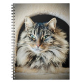Carnet Pixie Spiral Notebook (Devant)