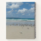 Carnet Plage avec mouettes (Dos)