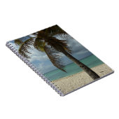 Carnet Plage d'Aruba I Belle Scène Nature (Côté Droit)