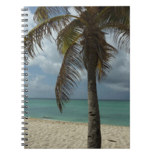 Carnet Plage d'Aruba I Belle Scène Nature