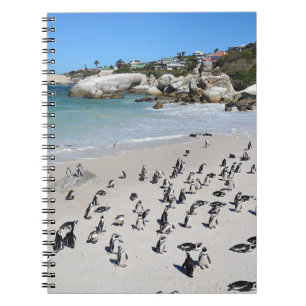 Carnet Plage de Penguins Boulders Afrique du Sud