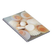 Carnet Plage d'été, Plage d'été (Côté Droit)