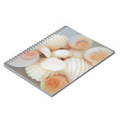 Carnet Plage d'été, Plage d'été (Côté gauche)