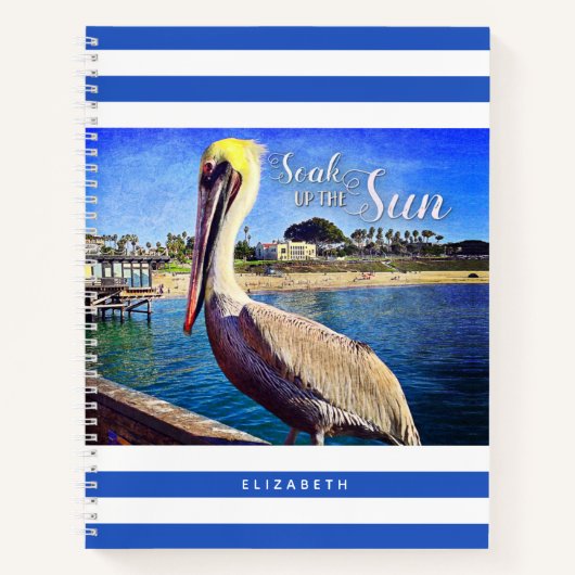 Carnet Plage Pelican Bleu Blancs Plongez dans le soleil (Devant)
