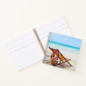 Carnet Plages tropicales | Chaise de plage sur sable (Intérieur)