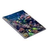 Carnet Plages tropicales | Corail sous-marin Reef (Côté Droit)