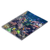 Carnet Plages tropicales | Corail sous-marin Reef (Côté gauche)