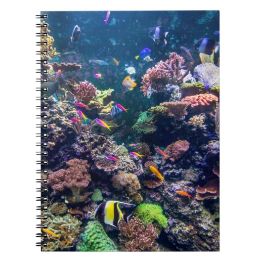 Carnet Plages tropicales | Corail sous-marin Reef (Devant)