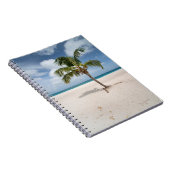 Carnet Plages tropicales | Eagle Beach, Aruba (Côté Droit)