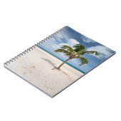 Carnet Plages tropicales | Eagle Beach, Aruba (Côté gauche)
