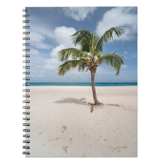 Carnet Plages tropicales | Eagle Beach, Aruba (Devant)