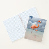 Carnet Plages tropicales | Flamants roses Beach, Aruba (Intérieur)