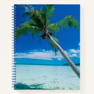 Carnet Plages tropicales   Plage du motu Tofari, Bora Bor