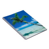 Carnet Plages tropicales | Plage du motu Tofari, Bora Bor (Côté Droit)