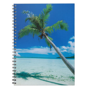 Carnet Plages tropicales   Plage du motu Tofari, Bora Bor