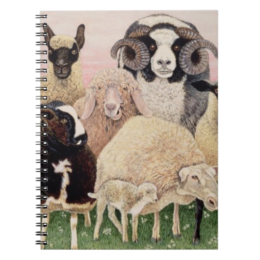 Carnet Plaisir de bergers (Devant)