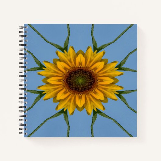 Carnet Plaisir de Tournesol... (Devant)