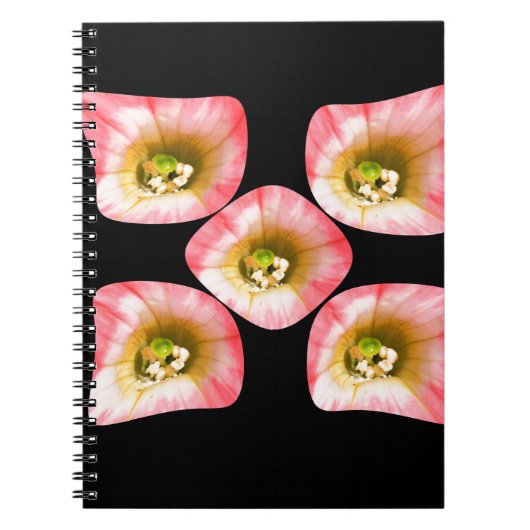 Carnet Plaisir Floral (Devant)