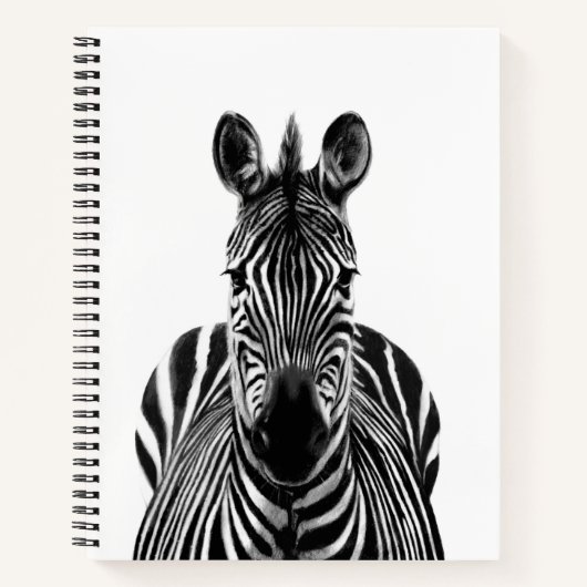 Carnet Plan de sauvegarde III (Devant)