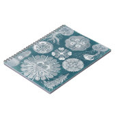 Carnet Plan directeur de la vie marine IV (Côté gauche)