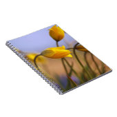 Carnet Plan rapproché des jonquilles (Côté Droit)