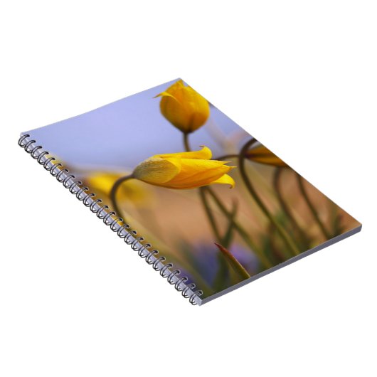 Carnet Plan rapproché des jonquilles (Côté Droit)