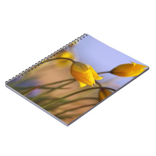 Carnet Plan rapproché des jonquilles (Côté gauche)