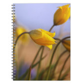 Carnet Plan rapproché des jonquilles (Devant)