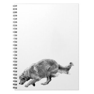 Carnet Plans avec un Or en cours