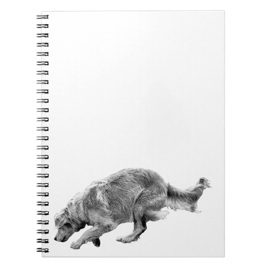 Carnet Plans avec un Or en cours (Devant)