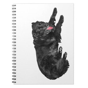 Carnet Plans De Page Crise, Ami De La Langue Ember