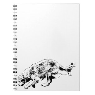 Carnet Plans et jeux avec Sprint Golden