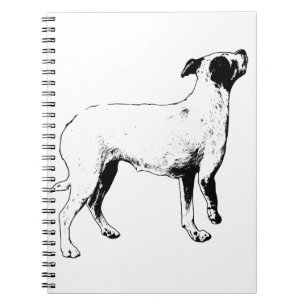 Carnet Plans, mais plus lumineux