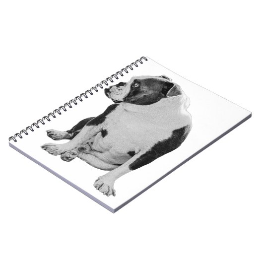 Carnet Plans With a Seated Pal (Côté gauche)