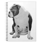 Carnet Plans With a Seated Pal (Devant)